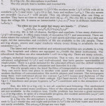 Term Paper Writing Service Near Me Reddit